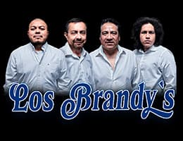 Los Brandy's